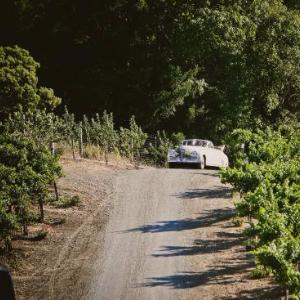 Classic Convertible Wine Tours photo