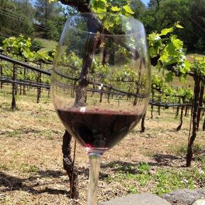 Laura Michael Wines photo