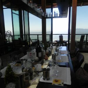 Ovid Vineyards photo