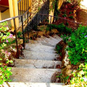 Mayacamas Vineyards photo