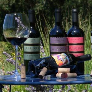 Allora Vineyards photo