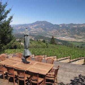 Andrew Geoffrey Vineyards photo