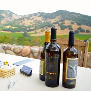 Black Cordon Vineyards photo