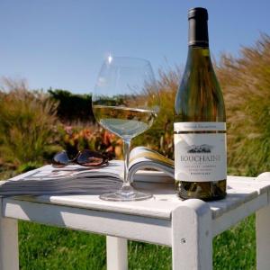 Bouchaine Vineyards photo