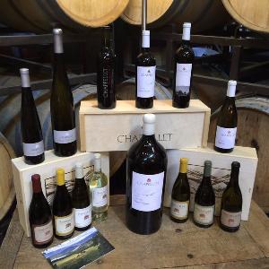 Chappellet Winery photo