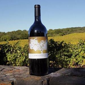 Continuum Estate photo