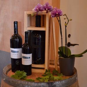 Corison Winery photo