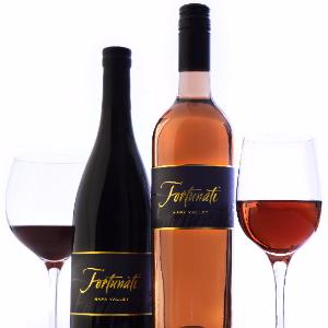 Fortunati Vineyards photo