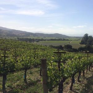 Hartwell Estate Vineyards photo