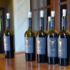 James Cole Estate Winery photo