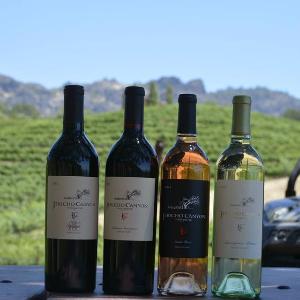 Jericho Canyon Vineyard photo