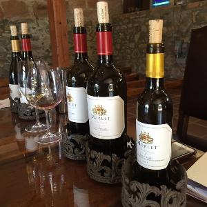 Morlet Family Vineyards photo