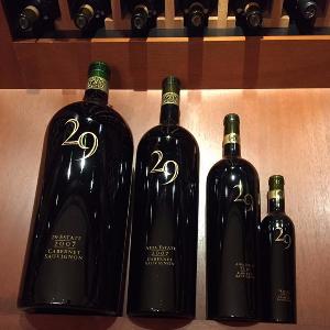 Vineyard 29 photo