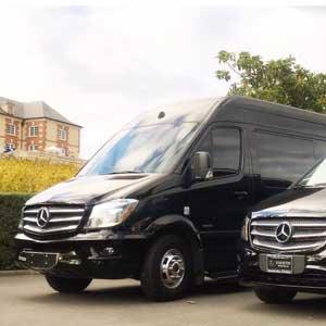 A Limo Excursion and Wine Tours  photo