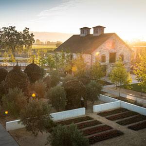 HALL Wines - St. Helena photo