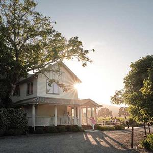 The Setting Inn Napa Valley photo