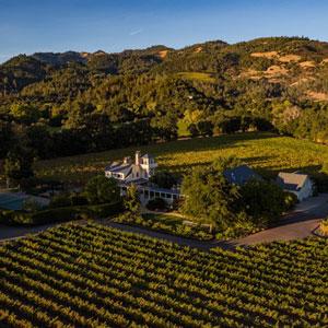 Benessere Vineyards photo