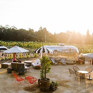 Hoopes Vineyard photo