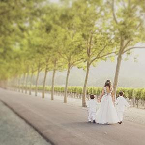 California Wine Tours photo