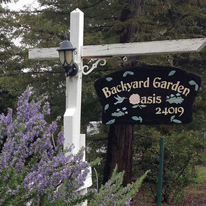 Backyard Garden Oasis photo