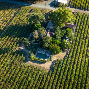 Canard Vineyard photo