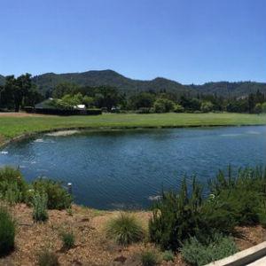 Lakeside Grill photo