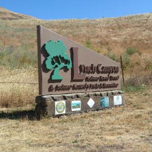 Lynch Canyon Open Space photo