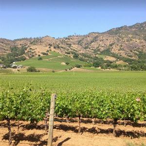 RAM Wine Country Tours photo