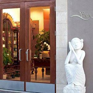 Spa Gaia at the Doubletree Hotel photo