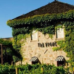 Pizzeria Tra Vigne photo