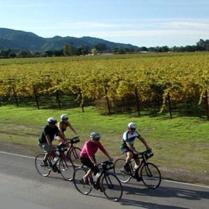 Napa Valley Bike Tours photo
