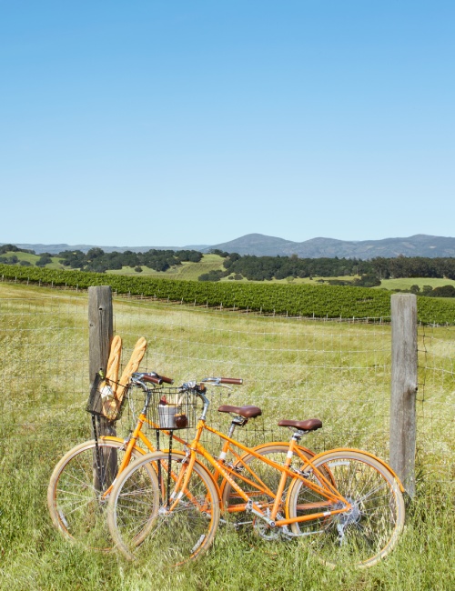 Carneros Resort and Spa