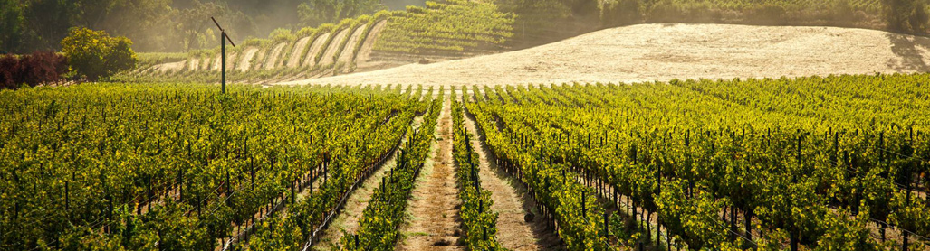 bedroom suite at Andaz Hotel in Napa Valley, CA