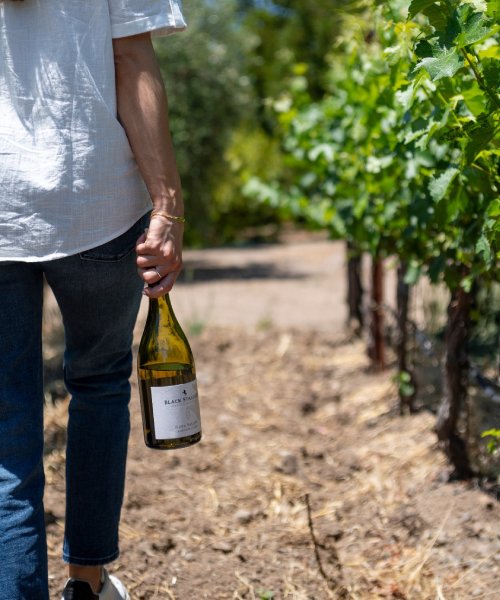 Black Stallion Estate Winery