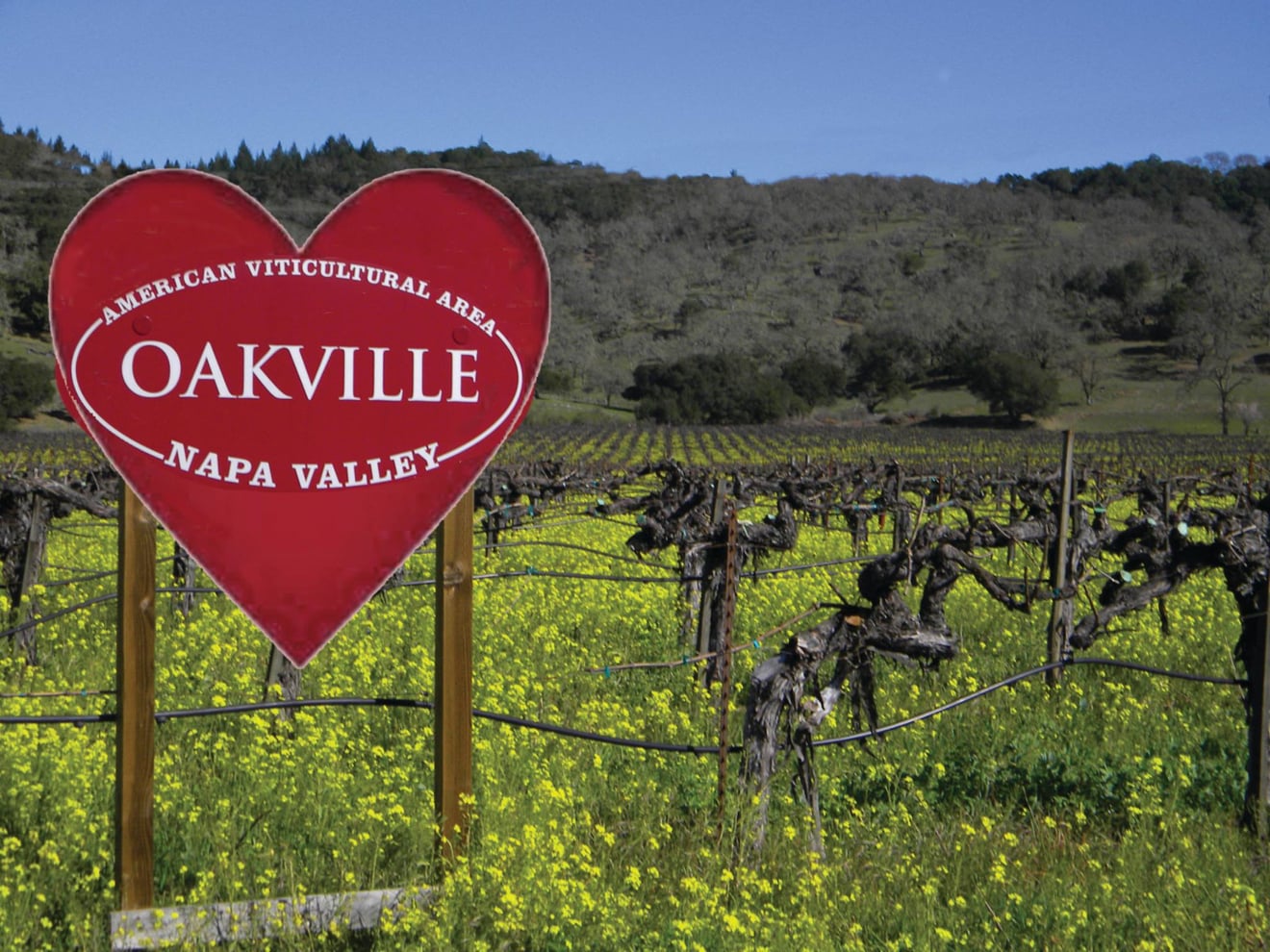Oakville AVA