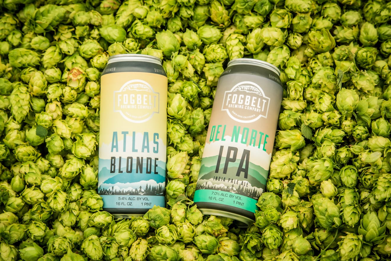 Fogbelt Brewing Company