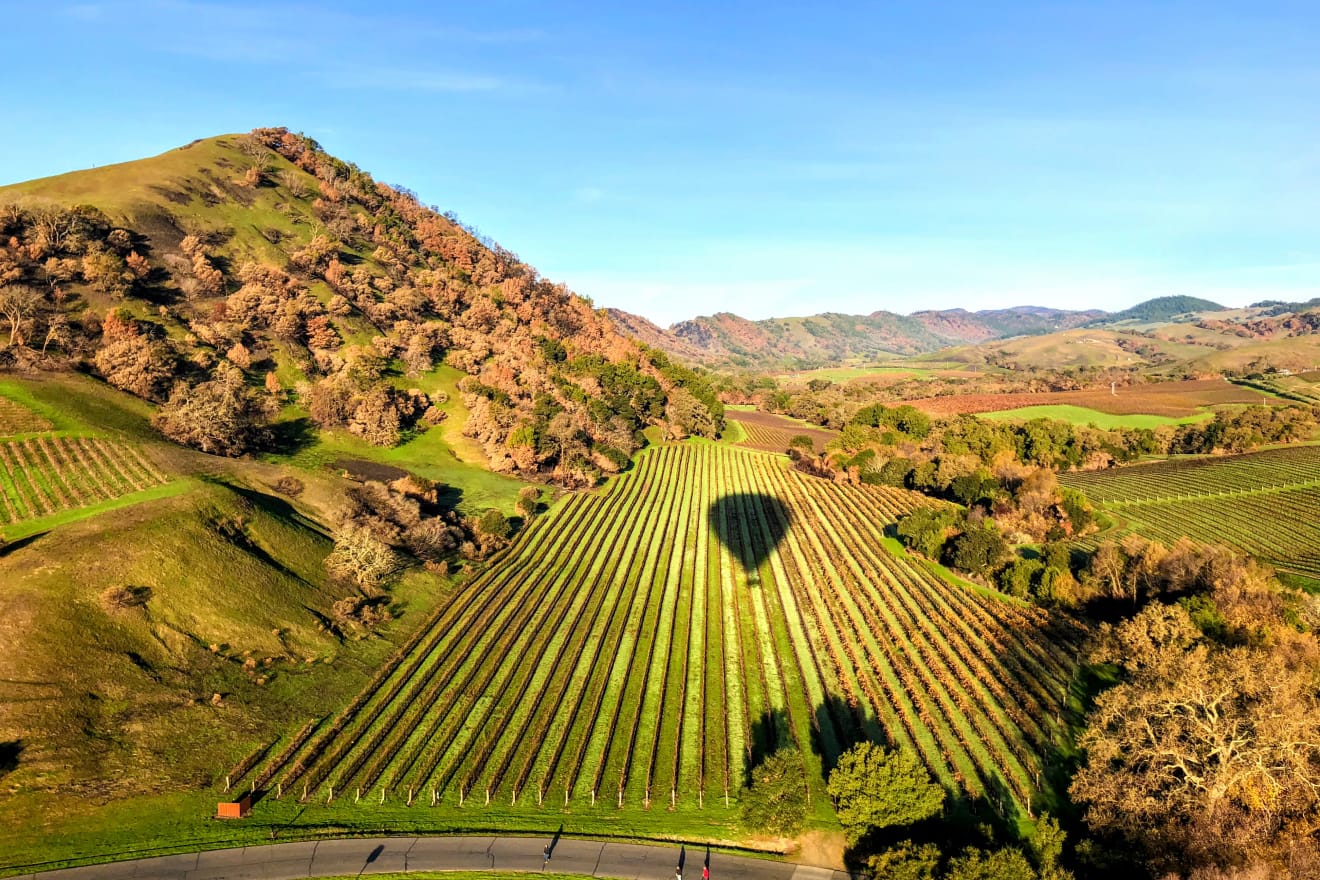hot air balloon ride over the vineyards