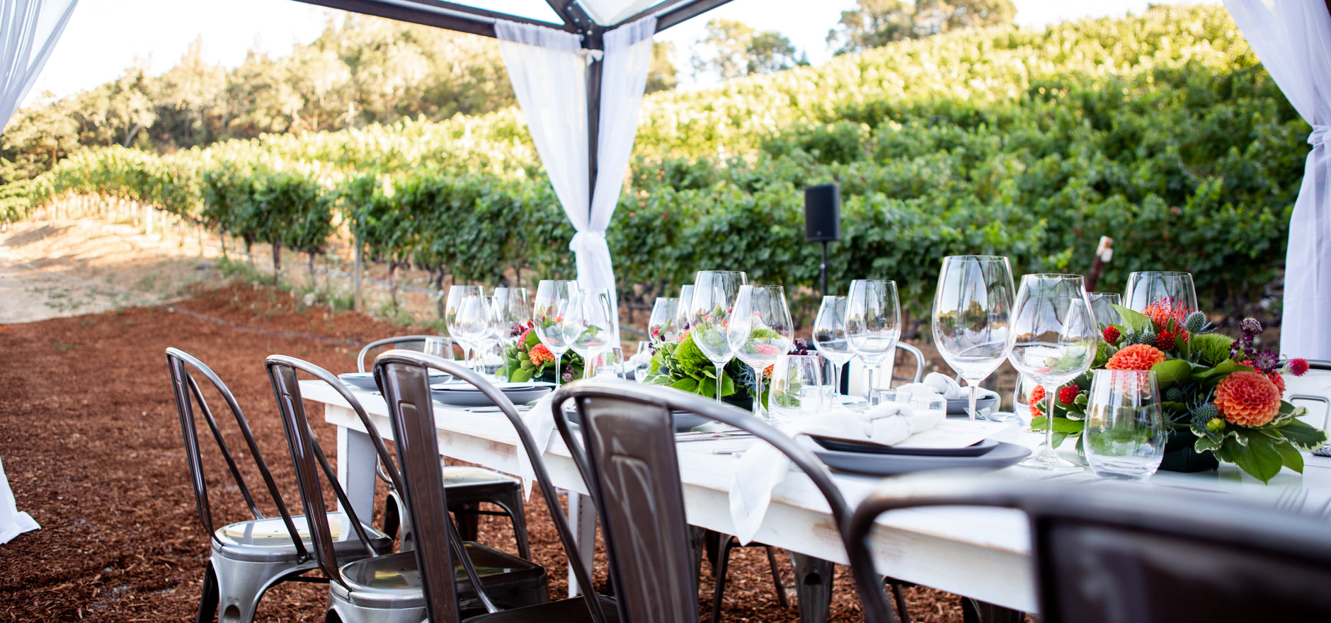 Fantesca Estate & Winery