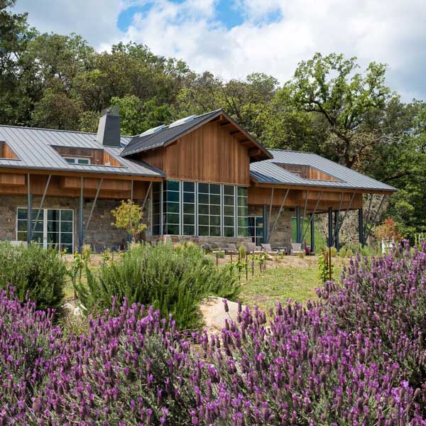 Wine and Food Experience: 5 Course Farm-to-Table