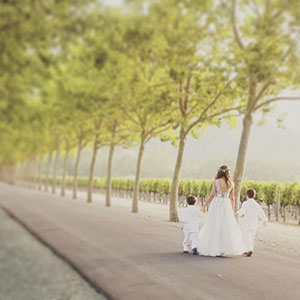 California Wine Tours Wedding Transportation