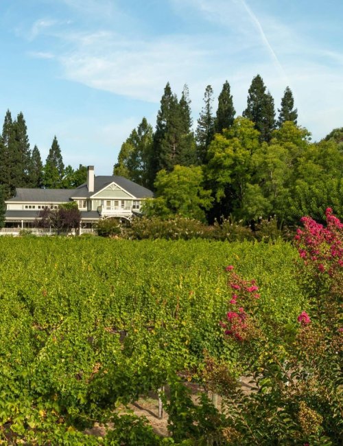 Duckhorn Vineyards