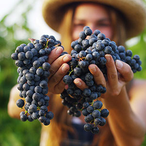 woman holding grapes