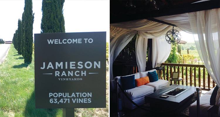 jamieson-ranch-vineyards