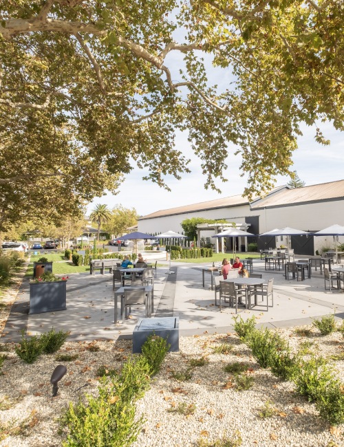 Merryvale 162-DSCF2338 Natalie Wren-500x650