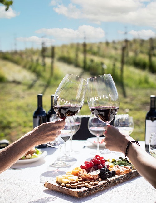 merryvale-picnic-tasting2-720x950-2-500x650