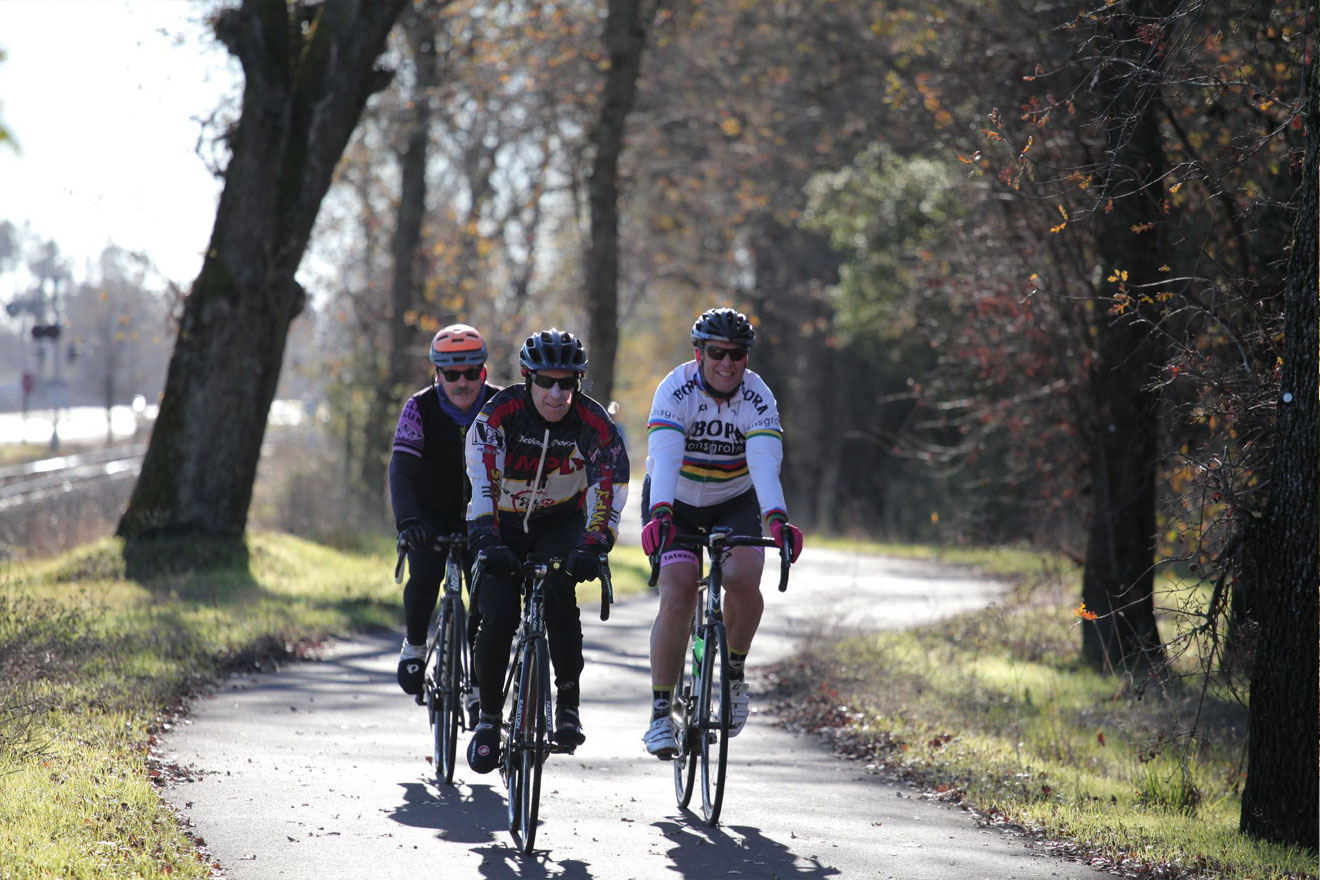 bike riding through Napa Valley