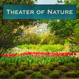 Raymond Vineyards' Theater of Nature