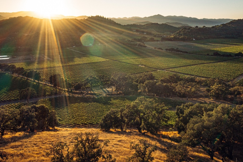 Stag’s Leap Wine Cellars