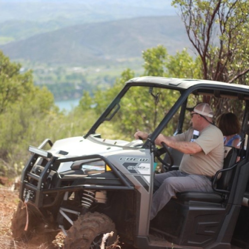 Wild Diamond Vineyards