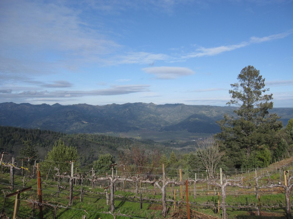 Napa Valley mountain wines